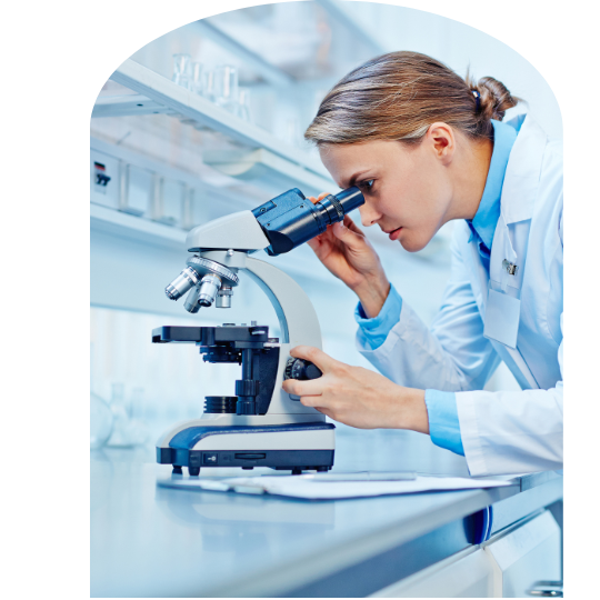 Green plants inside glass flasks