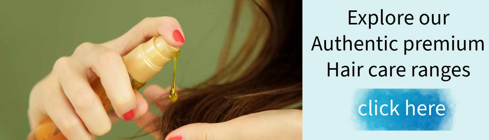 Small succulent in round planter